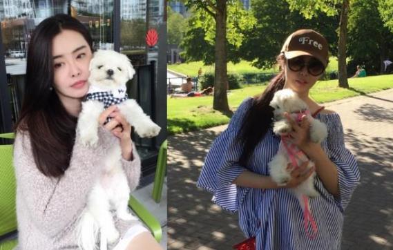 网友温哥华偶遇王祖贤遛狗,王祖贤什么国籍及资料 网友温哥华偶遇王祖贤遛狗,王祖贤什么国籍及资料