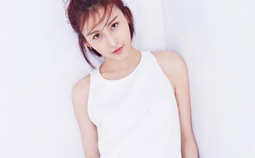 贾青老公叫什么名字,贾青是哪里人及资料