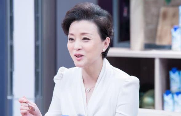 杨澜前老公是谁,杨澜是哪一年的及资料 杨澜前老公是谁,杨澜是哪一年的及资料