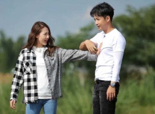 弦子老公怎么认识的,弦子是哪里人及资料