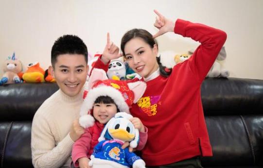 吴敏霞宣布怀二胎,吴敏霞是哪里人及资料