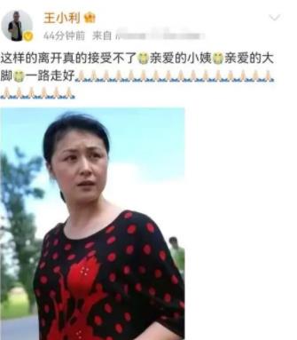 王小利说亲爱的大脚一路走好,王小利哪里人及资料