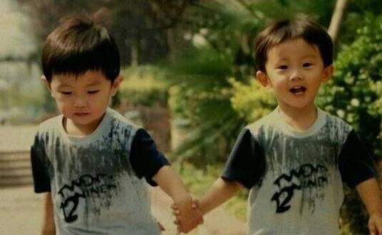 马嘉诚和马嘉祺什么关系,马嘉诚和马嘉祺是双胞胎吗