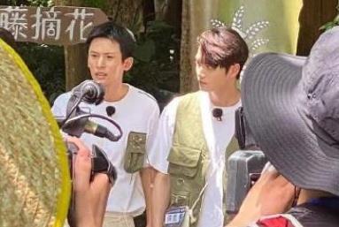 张哲瀚和许凯谁帅,许凯火还是张哲瀚火