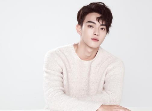 许凯承认的女朋友是谁,许凯几几年出生的及资料