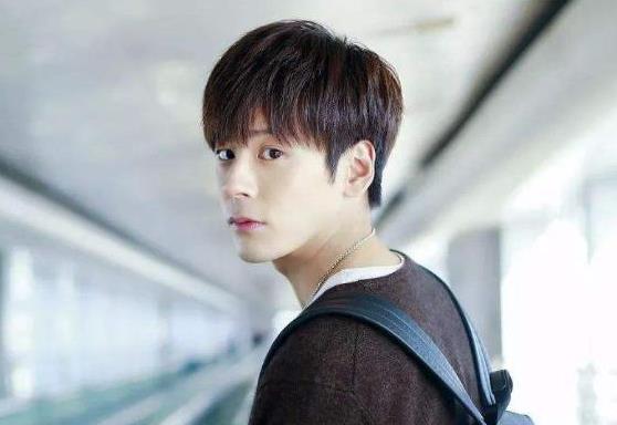 魏哲鸣怎么不红,魏哲鸣怎么不老