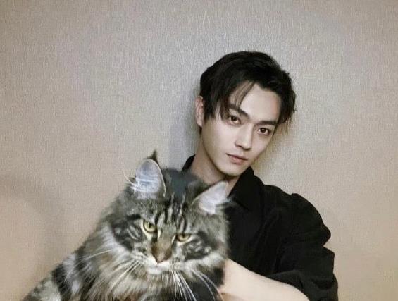 许凯结婚了吗和谁结婚,许凯年龄