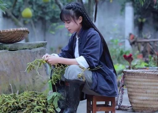 李子柒靠什么火的,李子柒是什么时候出名的