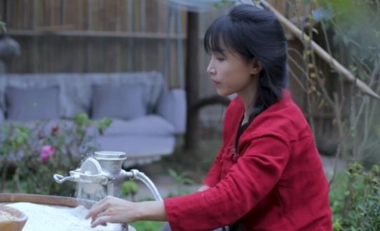 李子柒靠什么火的,李子柒是什么时候出名的