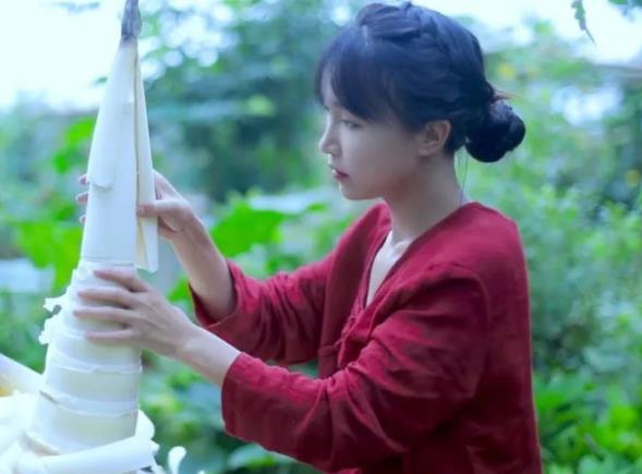 李子柒靠什么火的,李子柒是什么时候出名的