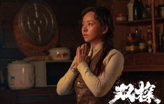 双探什么时候上映,双探多少集