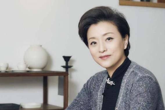 杨澜为什么不火了,杨澜为什么退出央视 杨澜为什么不火了,杨澜为什么退出央视