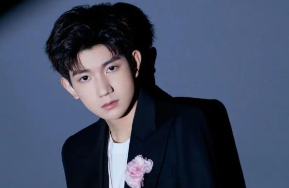 王源为什么不火了,王源怎么出道的