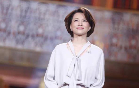 董卿为什么又火了,董卿真的很有才吗