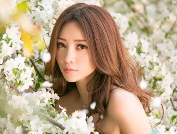 柳岩为什么不火了,柳岩老家哪里的