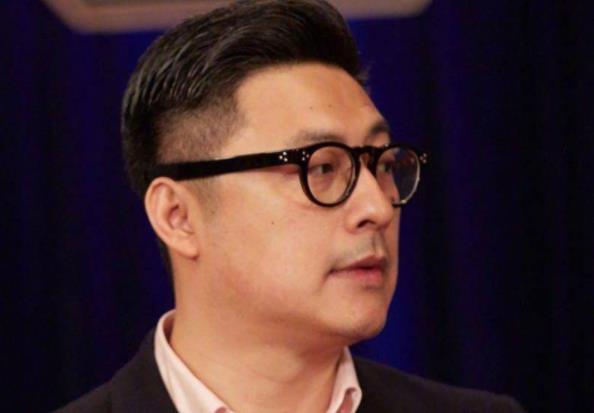 王岳伦为什么不拍戏了,王岳伦为什么有钱