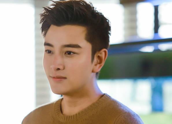 贾乃亮为什么不火,贾乃亮年纪多大