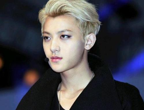 黄子韬家境是真的好么,黄子韬公司旗下艺人 黄子韬家境是真的好么,黄子韬公司旗下艺人