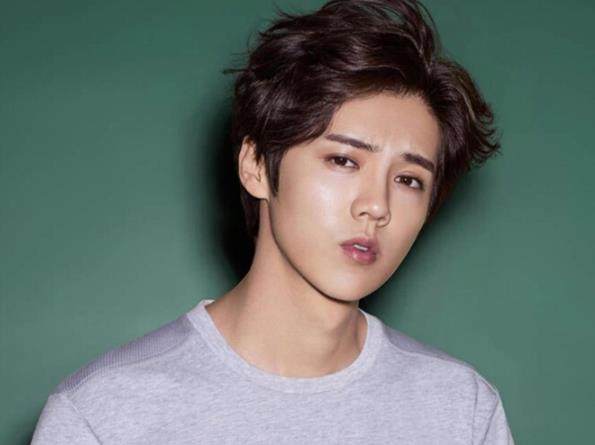 鹿晗为什么突然不火了,鹿晗多大年龄了