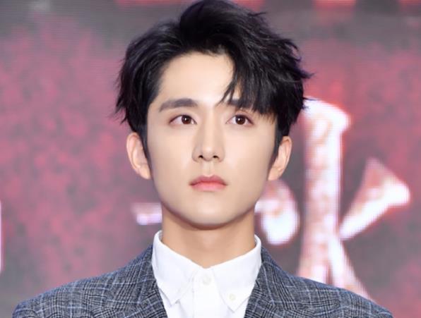 张新成为什么不火了,张新成年龄多大