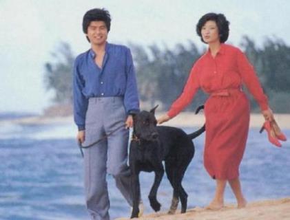 山口百惠经典歌曲20首