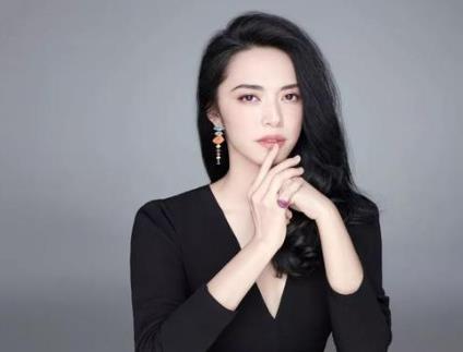 姚晨的老公是谁? 姚晨有过几次婚史 姚晨的老公是谁? 姚晨有过几次婚史