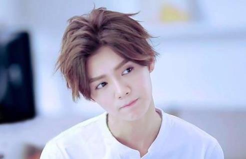 鹿晗为什么退出跑男  鹿晗为什么不红了