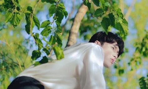 张艺兴身价多少 张艺兴退出向往的生活 张艺兴身价多少 张艺兴退出向往的生活