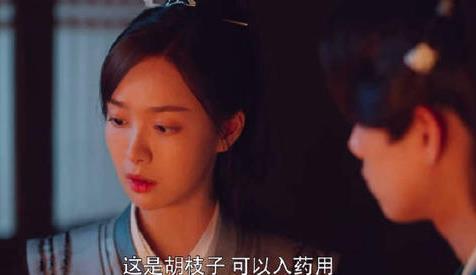 御赐小仵作冷月为何叫公主姑母  冷月萧瑾瑜啥关系