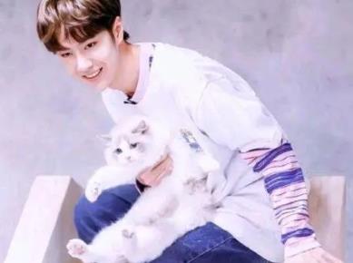 王一博唱一片冬麦是哪一期  王一博唱熹微是什么节目