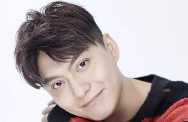 侯京健个人资料,侯京健主演的电视剧与电影