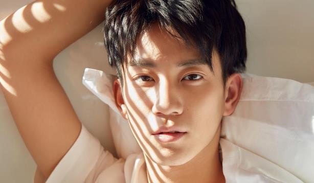 王子奇个人资料简介,王子奇演的电视剧