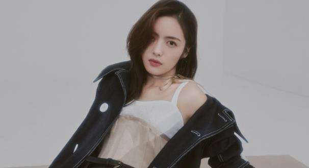 蔡文静的老公是谁,蔡文静是哪里人 蔡文静的老公是谁,蔡文静是哪里人