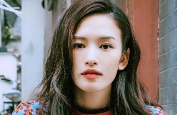 张柏嘉和屈菁菁长得像,张柏嘉是哪个公司的