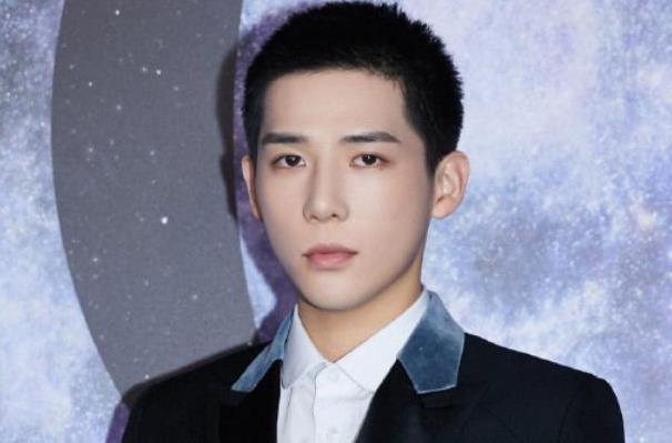 王安宇的对象是谁,王安宇是哪里人