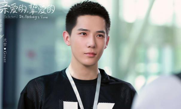 王安宇的对象是谁,王安宇是哪里人