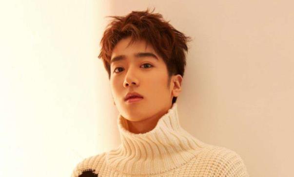 李明峻个人资料简介及年龄,李明峻演的电视有哪些