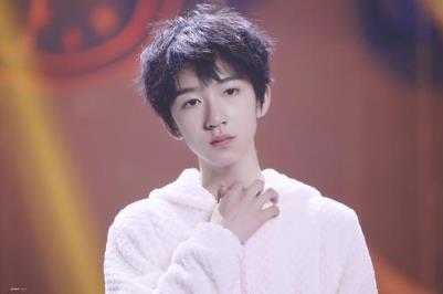 贺峻霖的学校叫什么 贺峻霖和严浩翔发生了什么事件