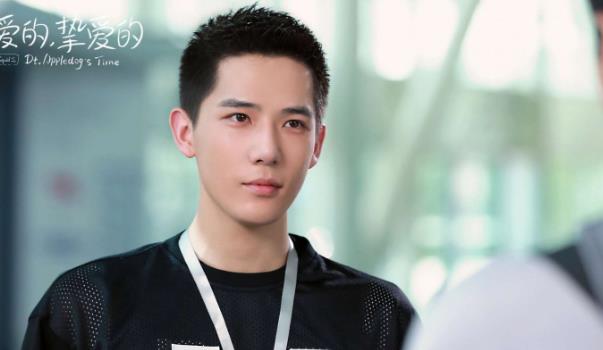 王安宇和向涵之是情侣吗,王安宇和向涵之什么关系