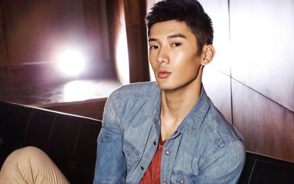 刘芮麟个人资料简介及年龄身高,刘芮麟主演的电视剧