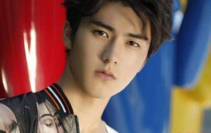 刘奕畅个人简介资料 刘奕畅是哪里人 刘奕畅个人简介资料 刘奕畅是哪里人