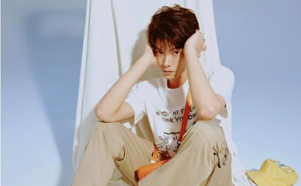 丁禹兮为什么拒绝赵露思摸头,丁禹兮是哪里的人 丁禹兮为什么拒绝赵露思摸头,丁禹兮是哪里的人