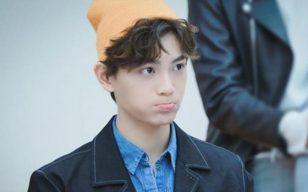 丁禹兮为什么拒绝赵露思摸头,丁禹兮是哪里的人 丁禹兮为什么拒绝赵露思摸头,丁禹兮是哪里的人