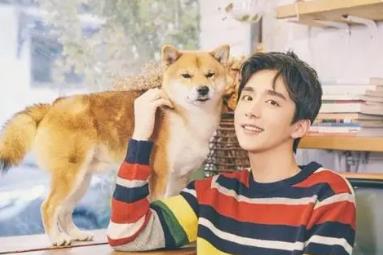 张新成真名叫什么 张新成真实身高多少2021