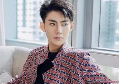 刘家祎怎么进入演艺圈  刘家祎高考成绩怎么样2021