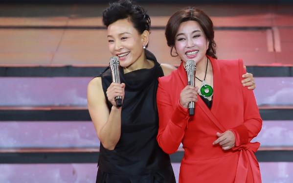 陈冲和刘晓庆长得像,陈冲和刘晓庆谁大