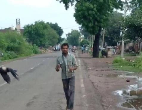 男子遭乌鸦追3年怎么回事 男子遭乌鸦追的真实原因曝光