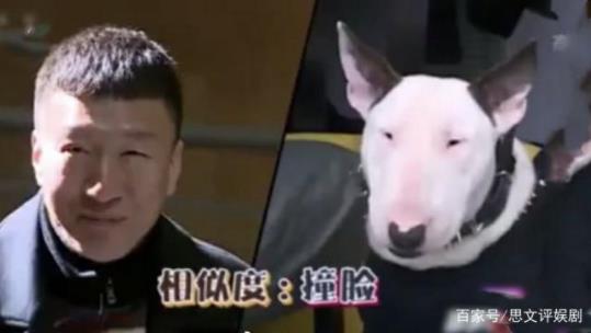 小欢喜牛头梗是什么意思？黄磊cue孙红雷真是躺着也中枪