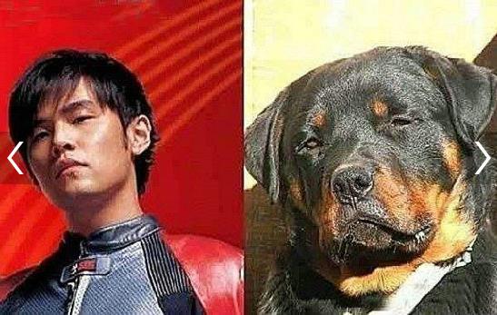 小欢喜牛头梗是什么意思？黄磊cue孙红雷真是躺着也中枪