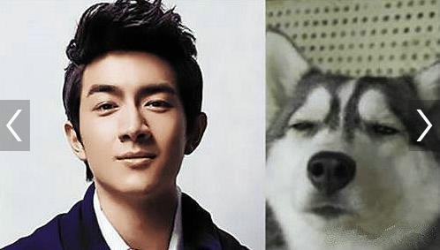 小欢喜牛头梗是什么意思？黄磊cue孙红雷真是躺着也中枪